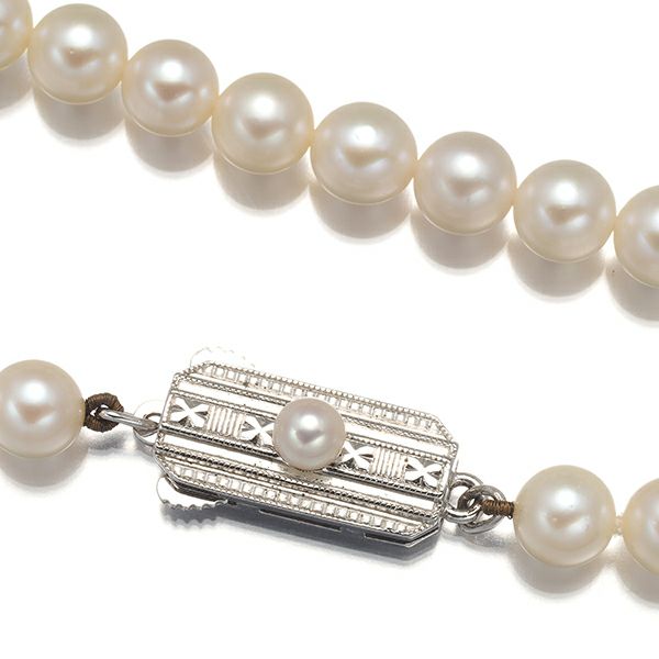 ミキモト ネックレス パール 真珠 5.5-5.8mm   シルバー 
