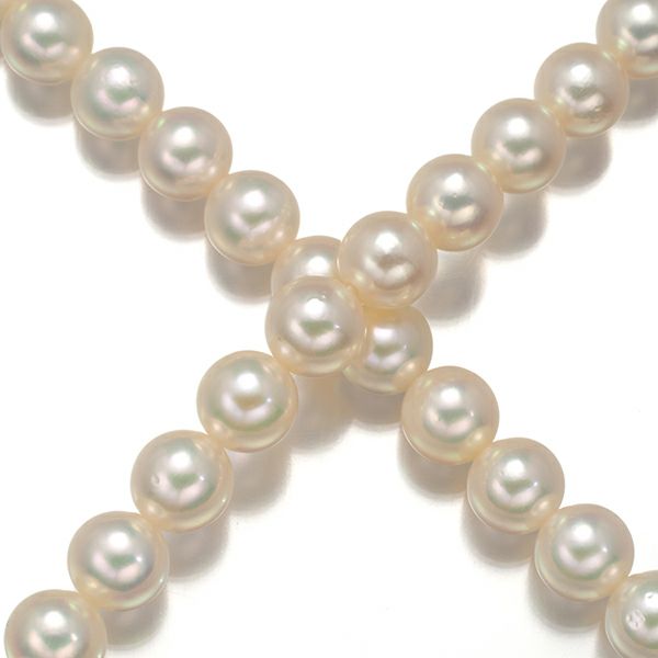 ミキモト ネックレス パール アコヤ真珠 5.0-5.4mm   シルバー 