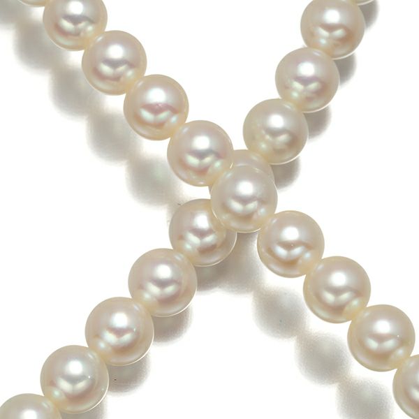 ミキモト ネックレス パール アコヤ真珠 5.5-6.0mm   シルバー 