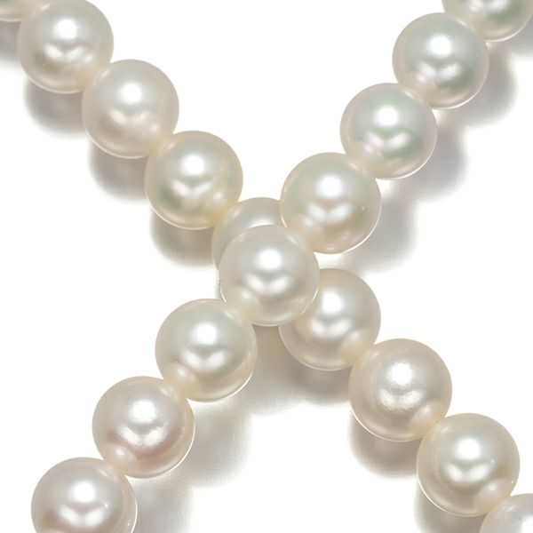ミキモト ネックレス パール アコヤ真珠 7.5-8.0mm   シルバー 